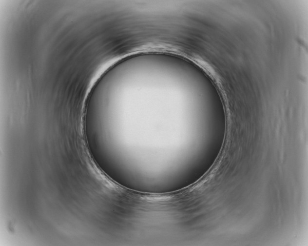 X0000091531296200708170942
