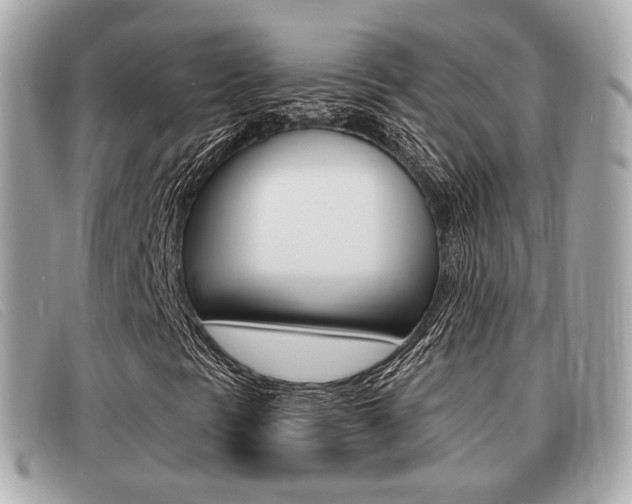 X0000091531297200708170941