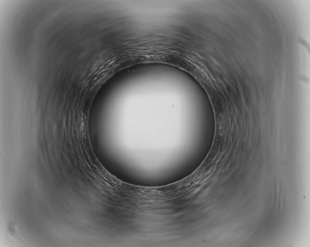 X0000091531298200708170941