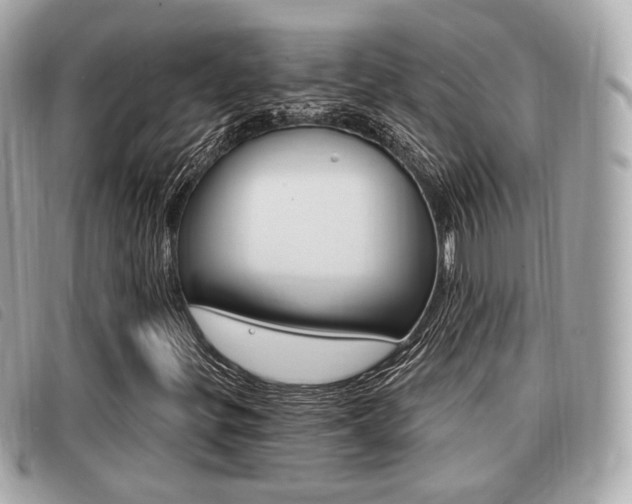 X0000091531299200708170941