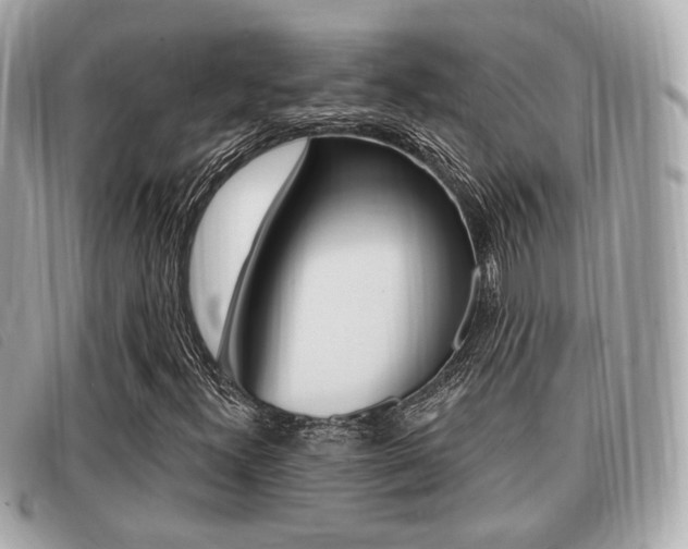 X0000091531300200708170941