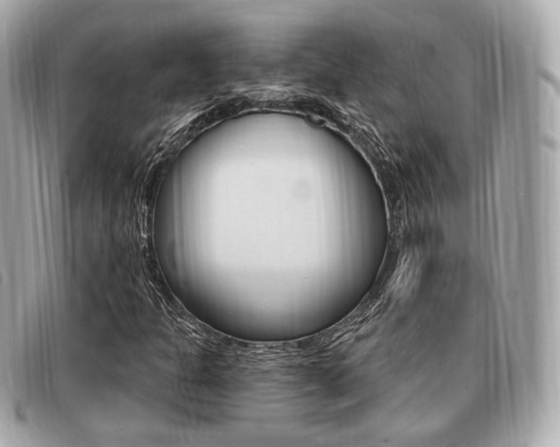 X0000091531301200708170941