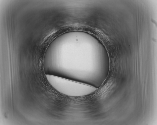 X0000091531302200708170941