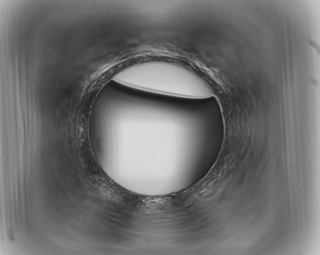 X0000091531303200708170941
