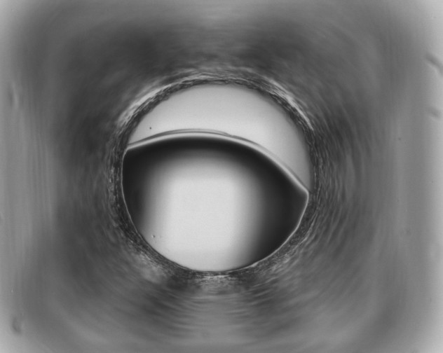 X0000091531304200708170941