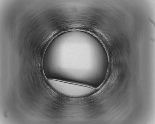 X0000091531305200708170941