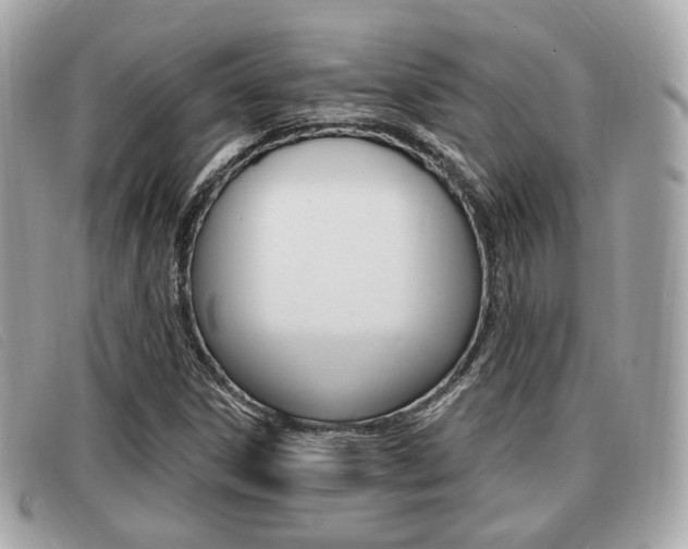X0000091531306200708170941