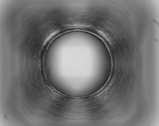 X0000091531307200708170941