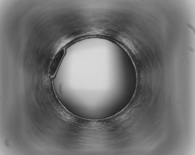 X0000091531308200708170941