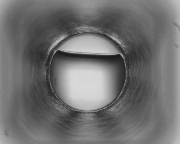 X0000091531309200708170941