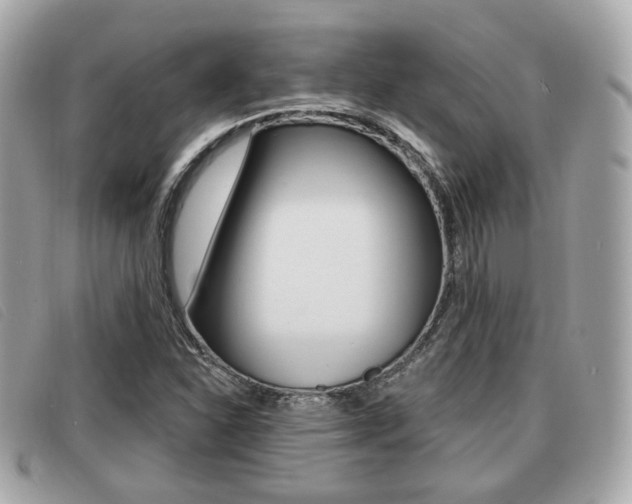 X0000091531310200708170941