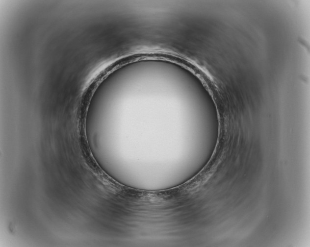 X0000091531311200708170941