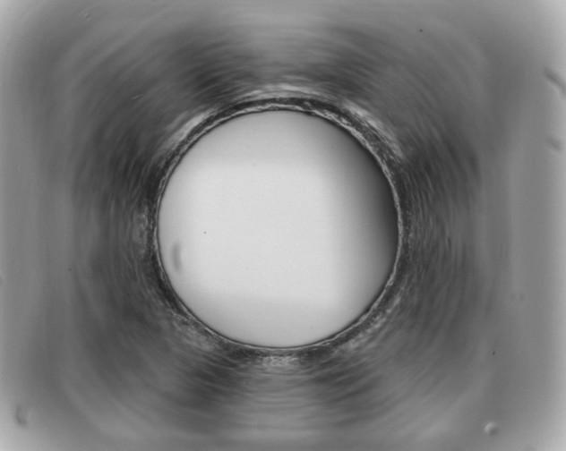 X0000091531313200708170941
