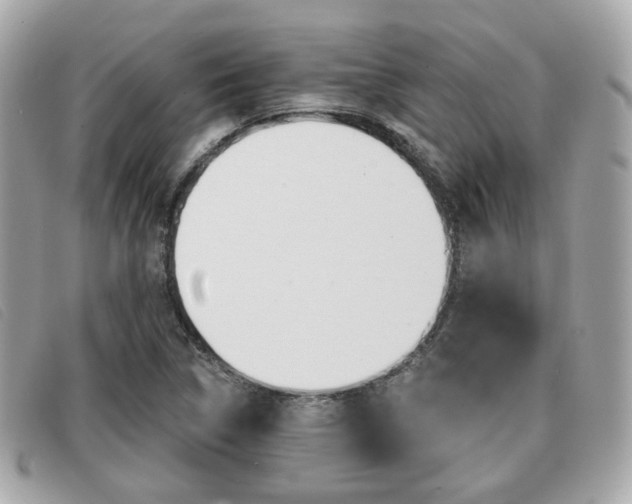 X0000091531314200708170941