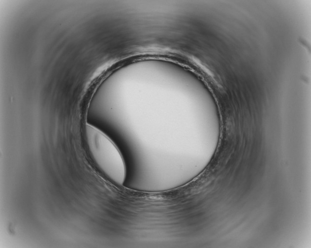 X0000091531315200708170941