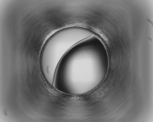 X0000091531316200708170941