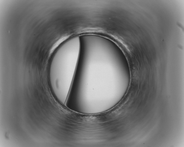 X0000091531317200708170941