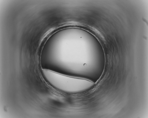 X0000091531318200708170941
