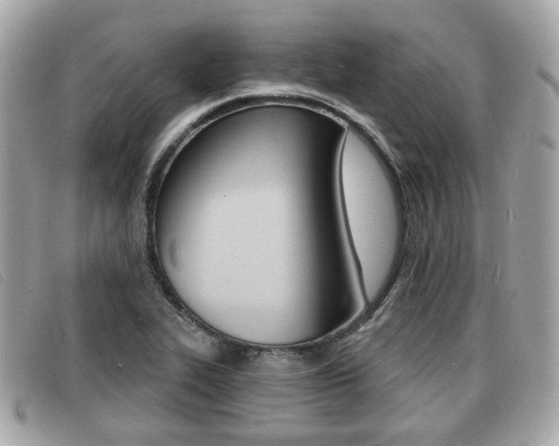 X0000091531319200708170941