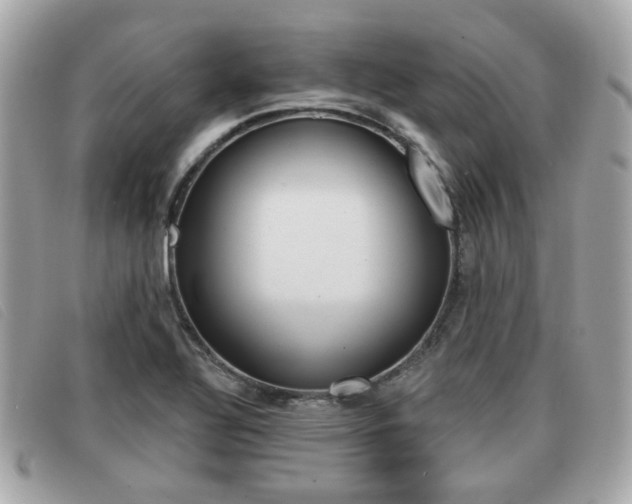 X0000091531320200708170941