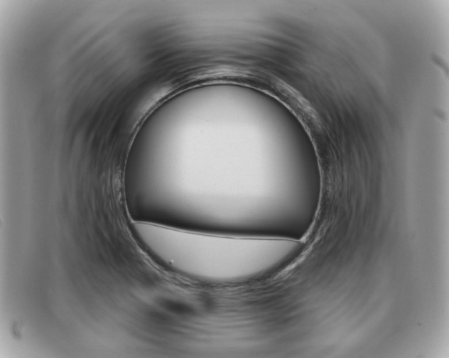 X0000091531321200708170941
