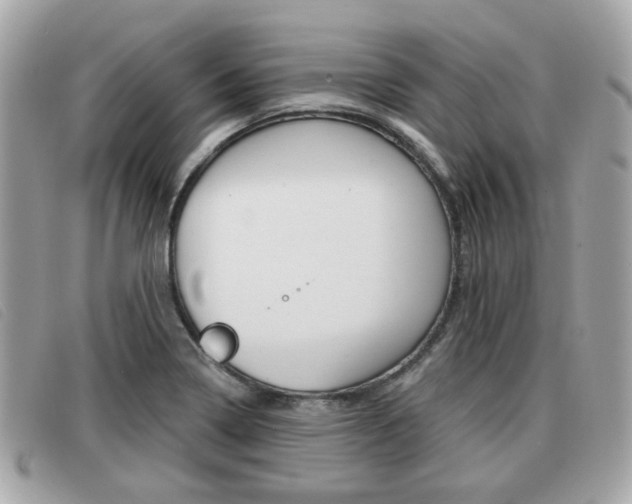 X0000091531322200708170941