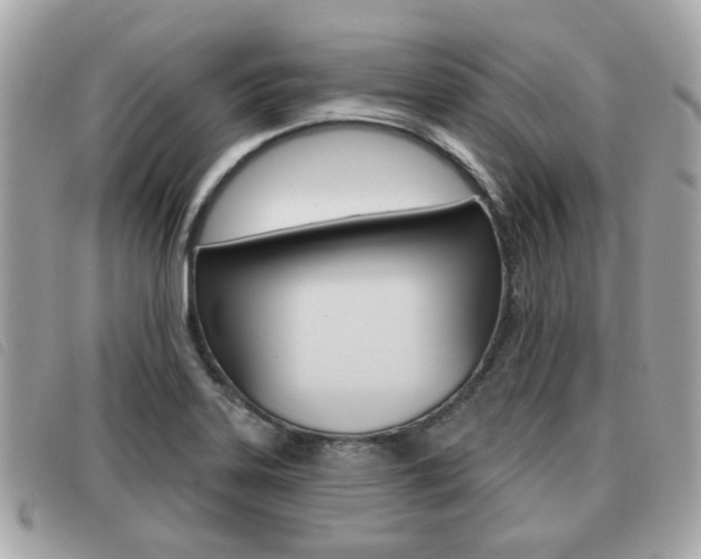 X0000091531323200708170941