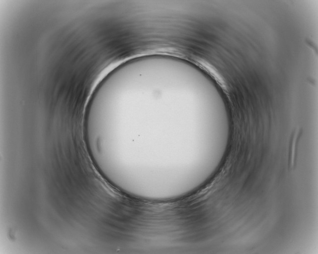 X0000091531324200708170941
