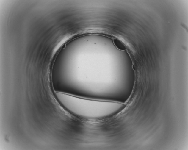 X0000091531325200708170941