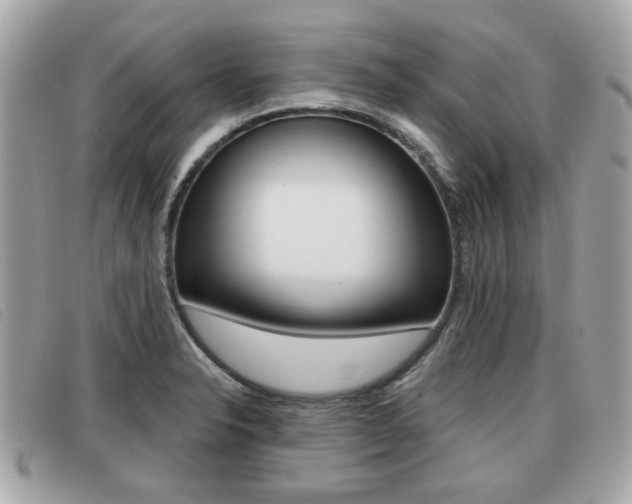 X0000091531326200708170941