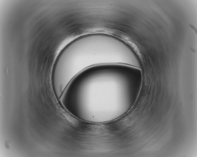 X0000091531328200708170941