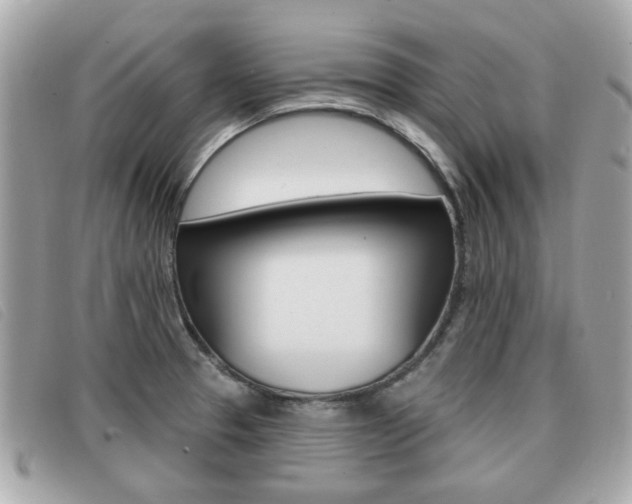 X0000091531329200708170941