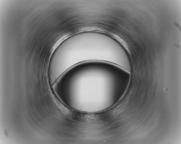 X0000091531330200708170941
