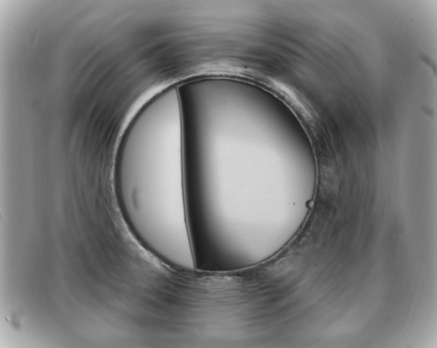 X0000091531331200708170942