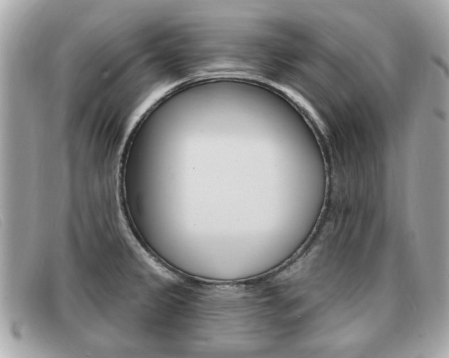 X0000091531333200708170942