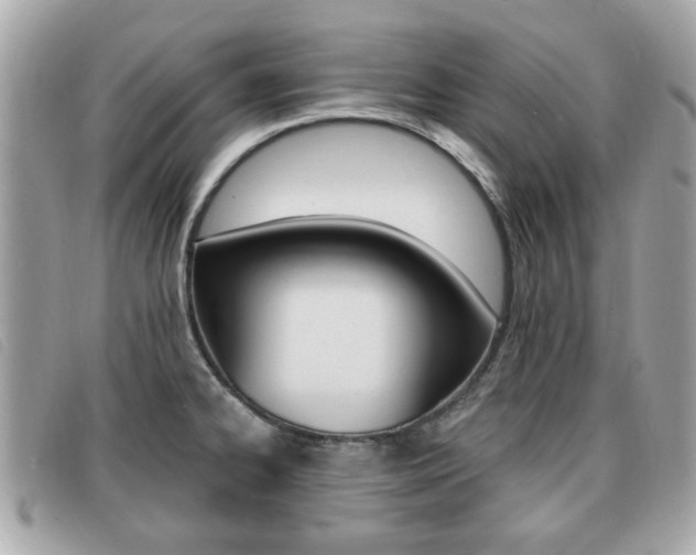 X0000091531334200708170942