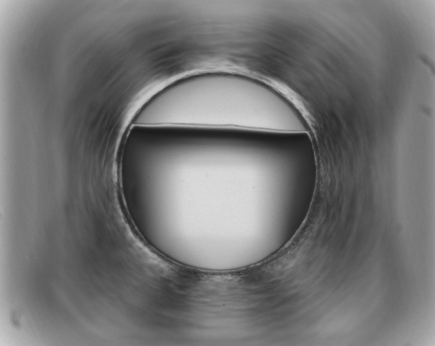 X0000091531335200708170942