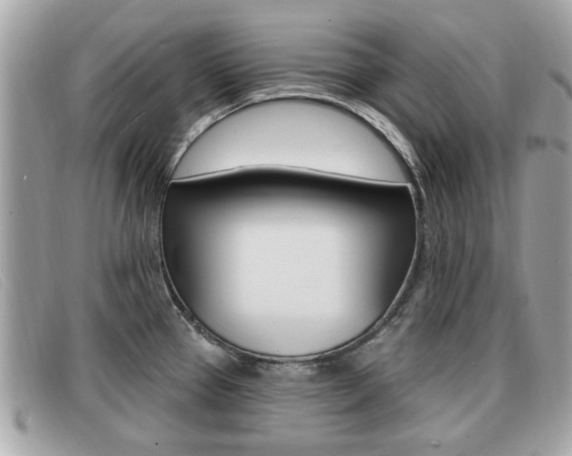 X0000091531337200708170942