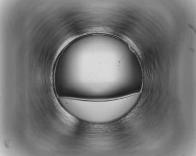 X0000091531339200708170942