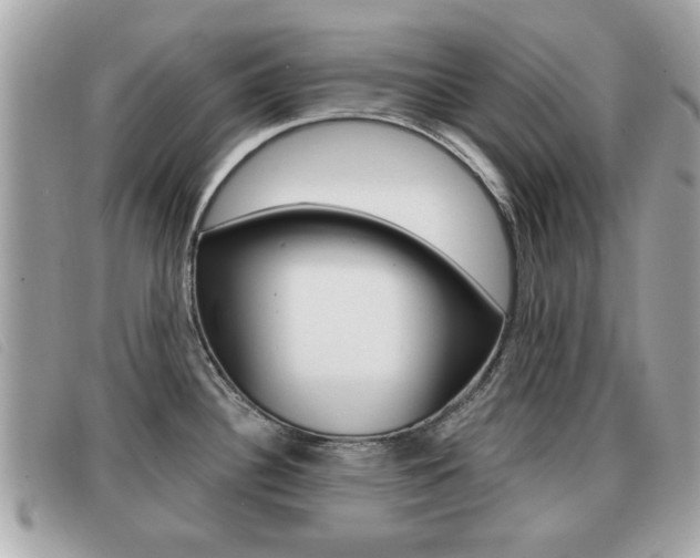 X0000091531340200708170942