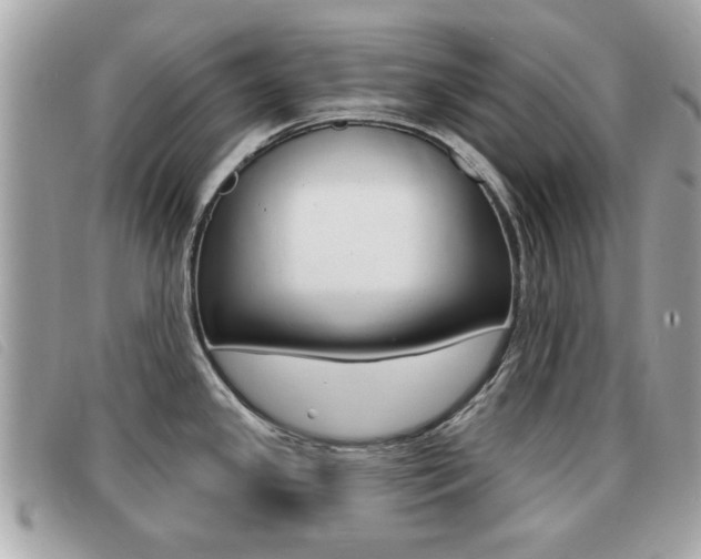 X0000091531341200708170942