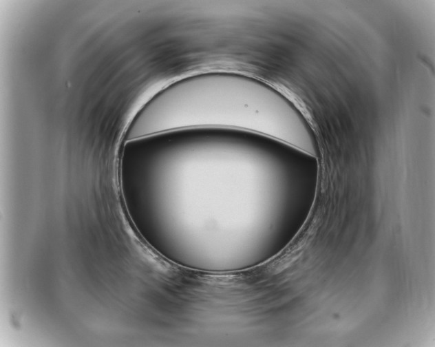 X0000091531342200708170942