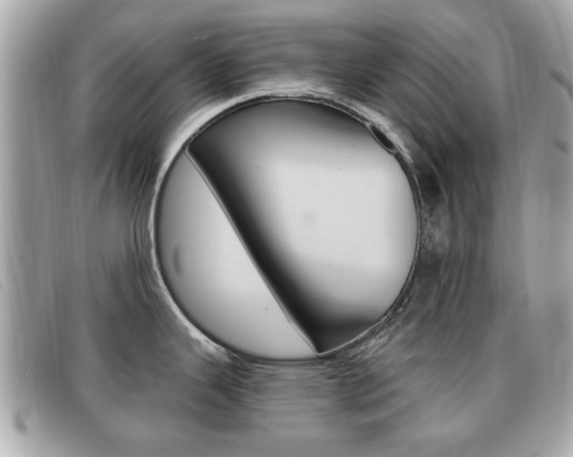 X0000091531343200708170942