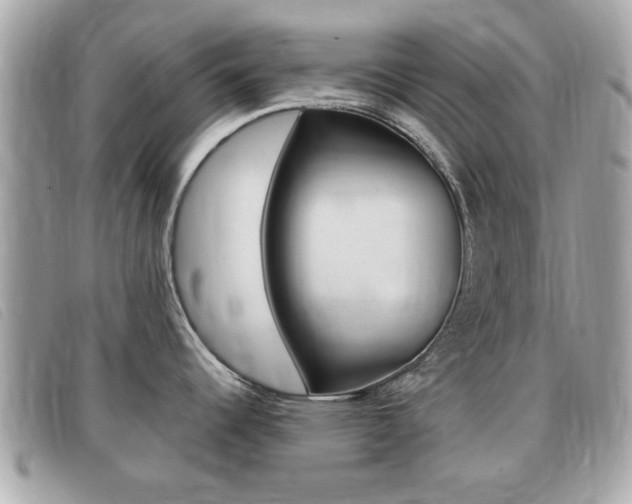 X0000091531344200708170942