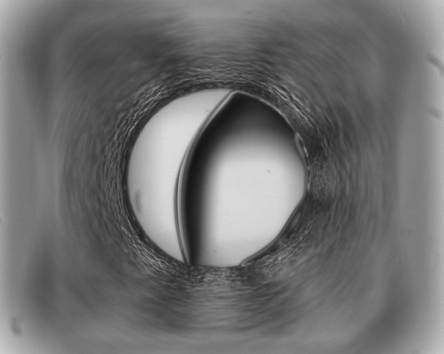 X0000091531345200708170941