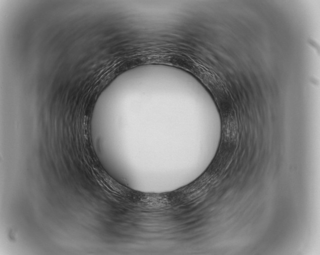 X0000091531346200708170941