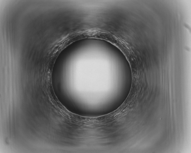 X0000091531349200708170941