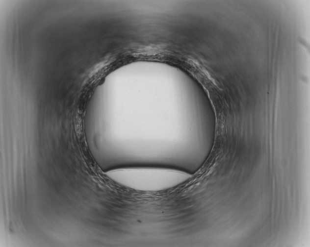 X0000091531350200708170941