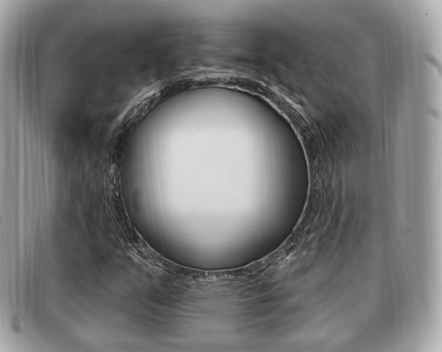 X0000091531351200708170941