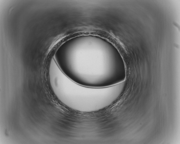 X0000091531352200708170941